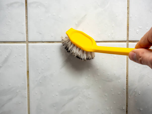 Best Best Mold Removal Companies  in West Wyomissing, PA