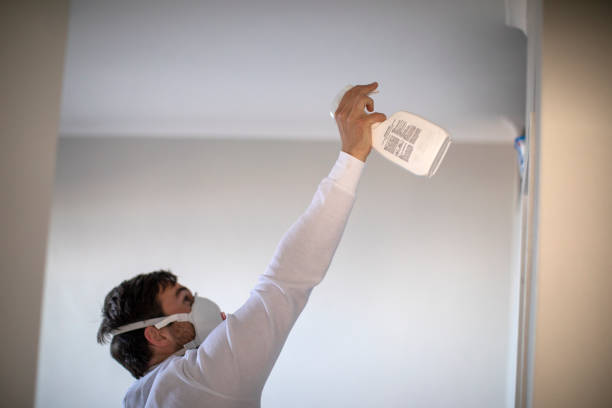 Best Emergency Mold Removal  in West Wyomissing, PA
