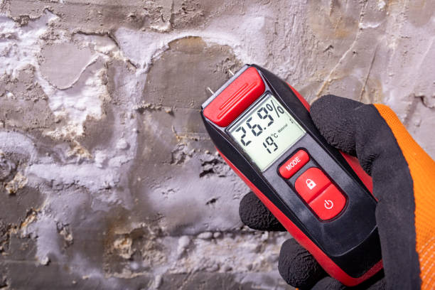 Best Mold Testing  in West Wyomissing, PA